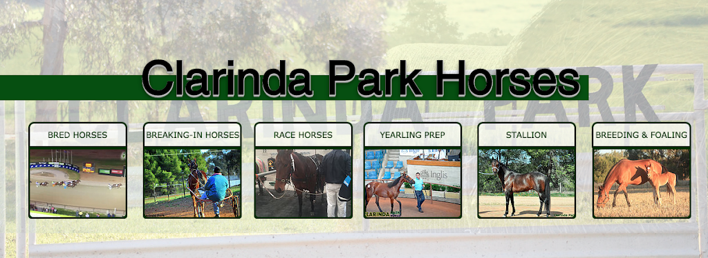 Clarinda Park Horses |  | 274 Back Yamma Rd, Parkes NSW 2870, Australia | 0427415098 OR +61 427 415 098