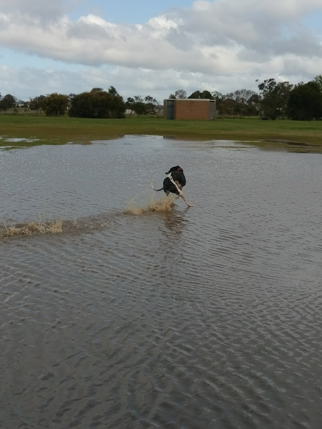 South Barwon Cricket Club | South Barwon Reserve, Barwon Heads Rd, Belmont VIC 3216, Australia | Phone: (03) 5244 1753