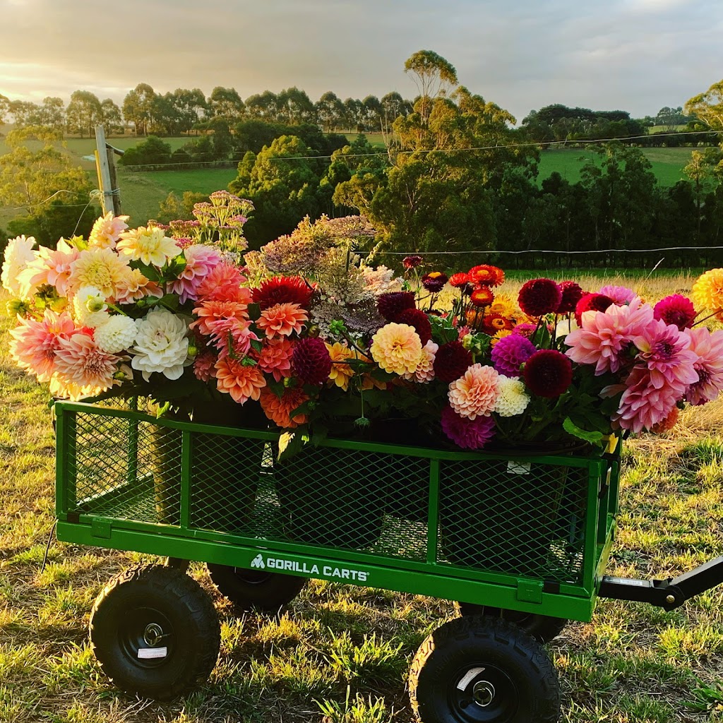 Bloomfield Flower Farm | florist | Copelands Rd, Nilma North VIC 3821, Australia | 0429706746 OR +61 429 706 746