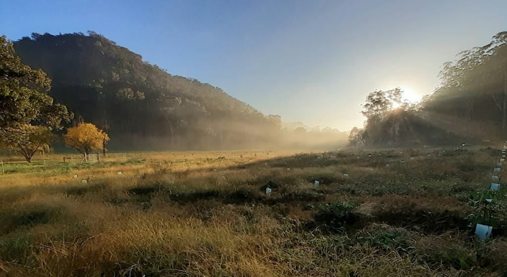 The Short Bushwalk | 85 Totnes Valley Rd, Totnes Valley NSW 2850, Australia | Phone: 0457 840 258