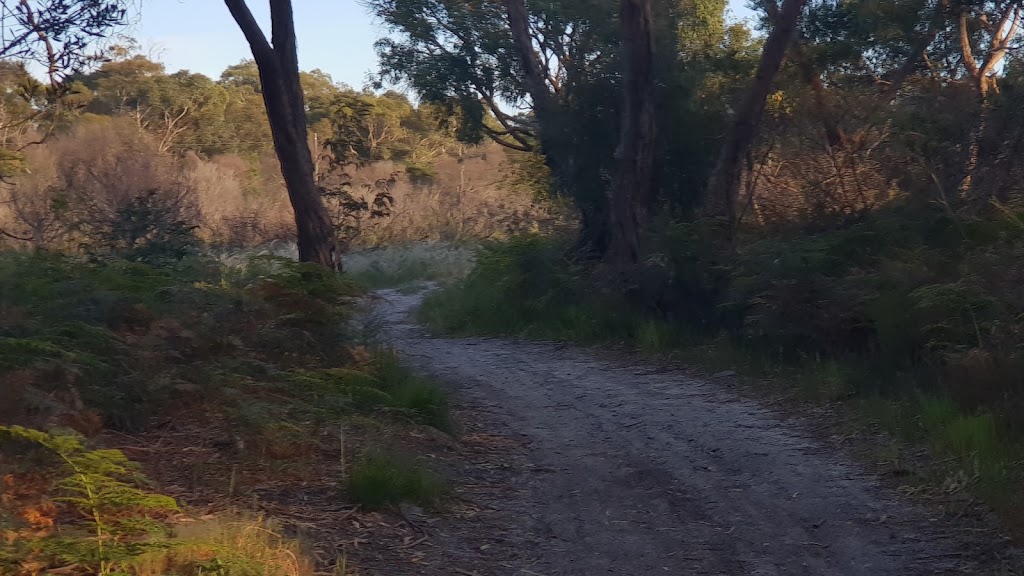 Otama Submarine Lookout Track | The Esplanade, Crib Point VIC 3919, Australia | Phone: 0476 109 223