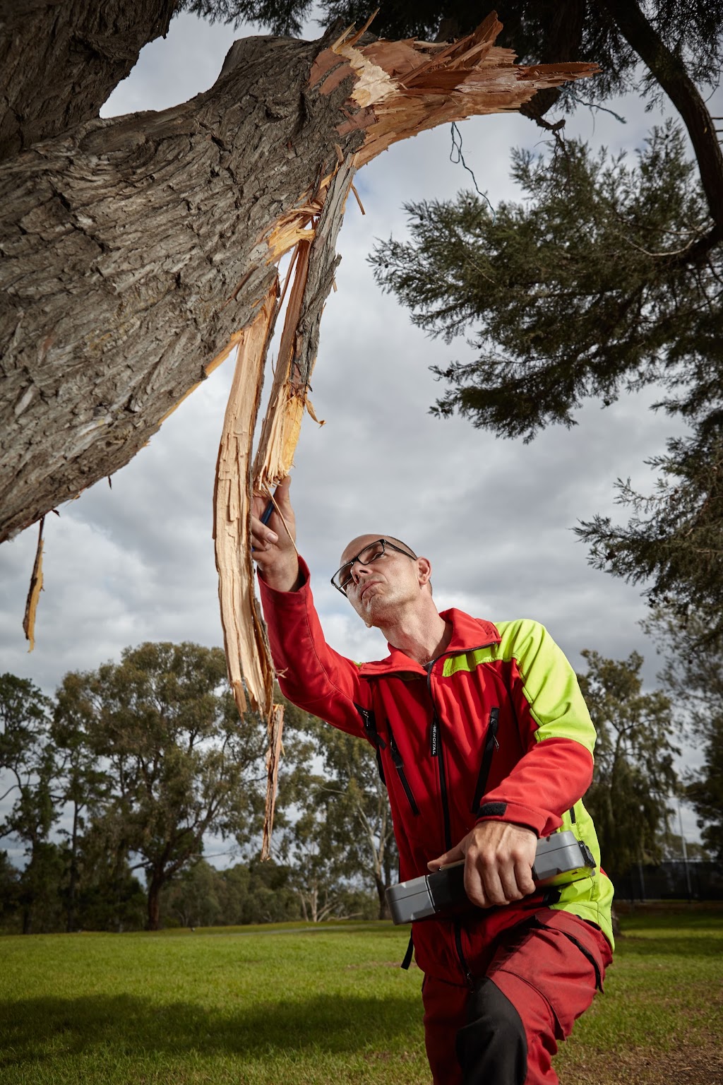 Fifteenfeet Tree Maintenance |  | 47 Fischer St, Coburg VIC 3058, Australia | 0435086323 OR +61 435 086 323