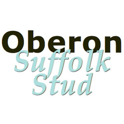 Oberon Suffolk Stud |  | 61 Dolphins Rd, Musk VIC 3461, Australia | 0353485799 OR +61 3 5348 5799