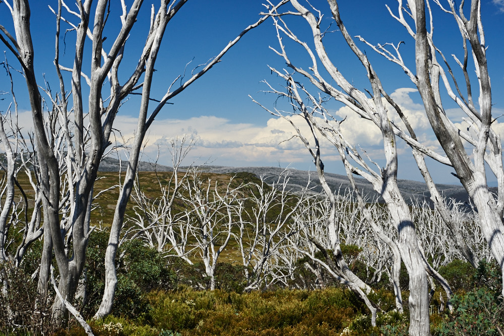 Gus Armstrong Photography and Design | Church St, Mudgee NSW 2850, Australia | Phone: 0434 253 682