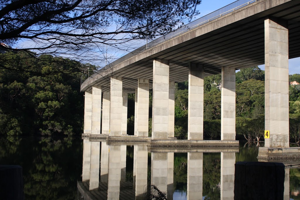 Sydney Harbour Safaris Boat Tours | 8 Lowing Cl, Forestville NSW 2087, Australia | Phone: 0490 701 016