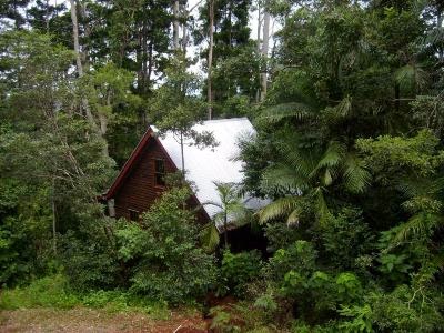 Turkeys Nest Rainforest Cottages | 1780 Mount Glorious Rd, Mount Glorious QLD 4520, Australia | Phone: (07) 3289 0004