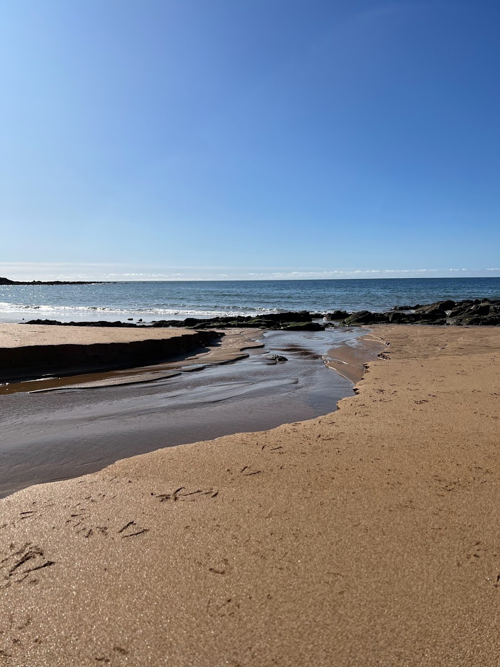 The Burnie Boardwalk | park | The Boardwalk, Burnie TAS 7320, Australia | 0364305700 OR +61 3 6430 5700