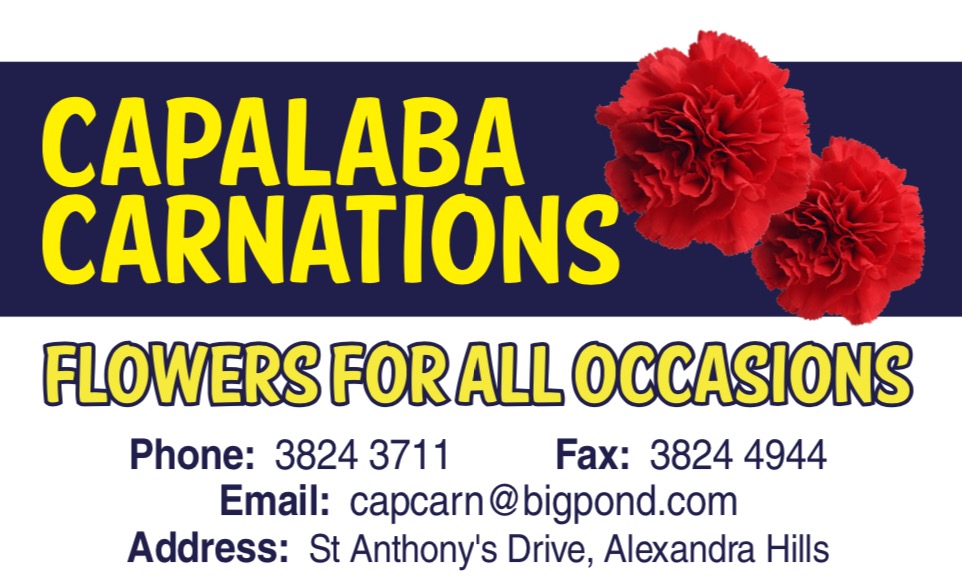 Capalaba Carnations | St Anthonys Drive, Alexandra Hills QLD 4161, Australia | Phone: (07) 3824 3711