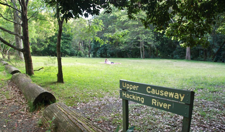 Uppercauseway Picnic Area | McKell Ave, Waterfall NSW 2233, Australia | Phone: (02) 9542 0648