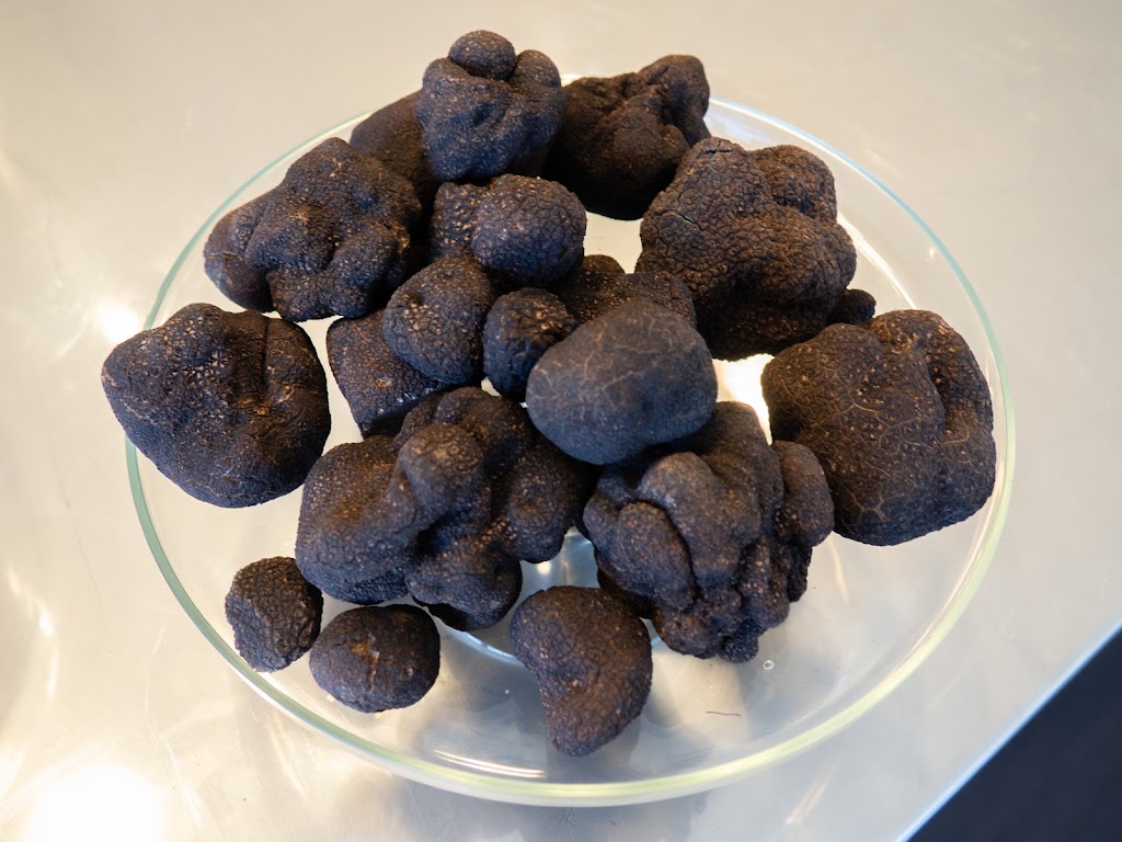 RedGround Truffles | 264 Titania Rd, Oberon NSW 2787, Australia | Phone: 0457 775 297