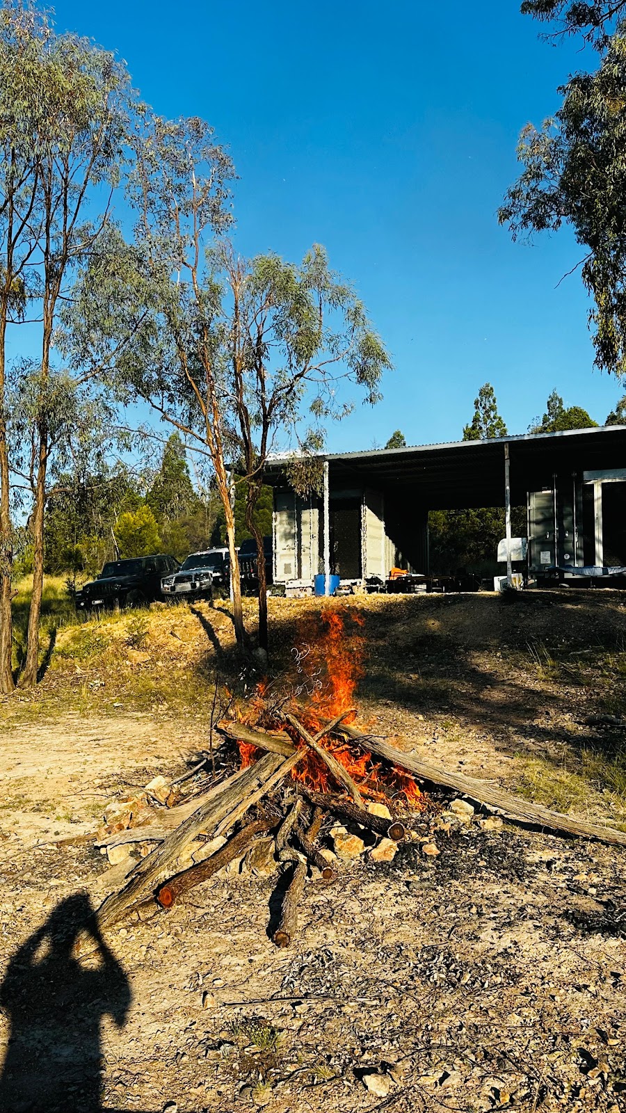 Punjab Farm | Halls Ln, Bukkulla NSW 2360, Australia | Phone: 0412 345 678