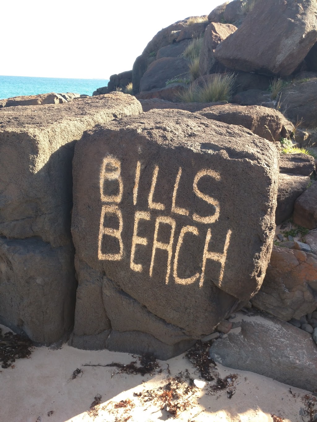 Bills Beach | park | Swansea TAS, Australia