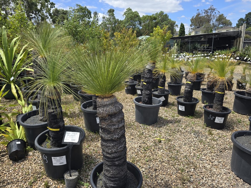 Plantmark Wantirna | 771 Boronia Rd, Wantirna VIC 3152, Australia | Phone: (03) 9845 6900