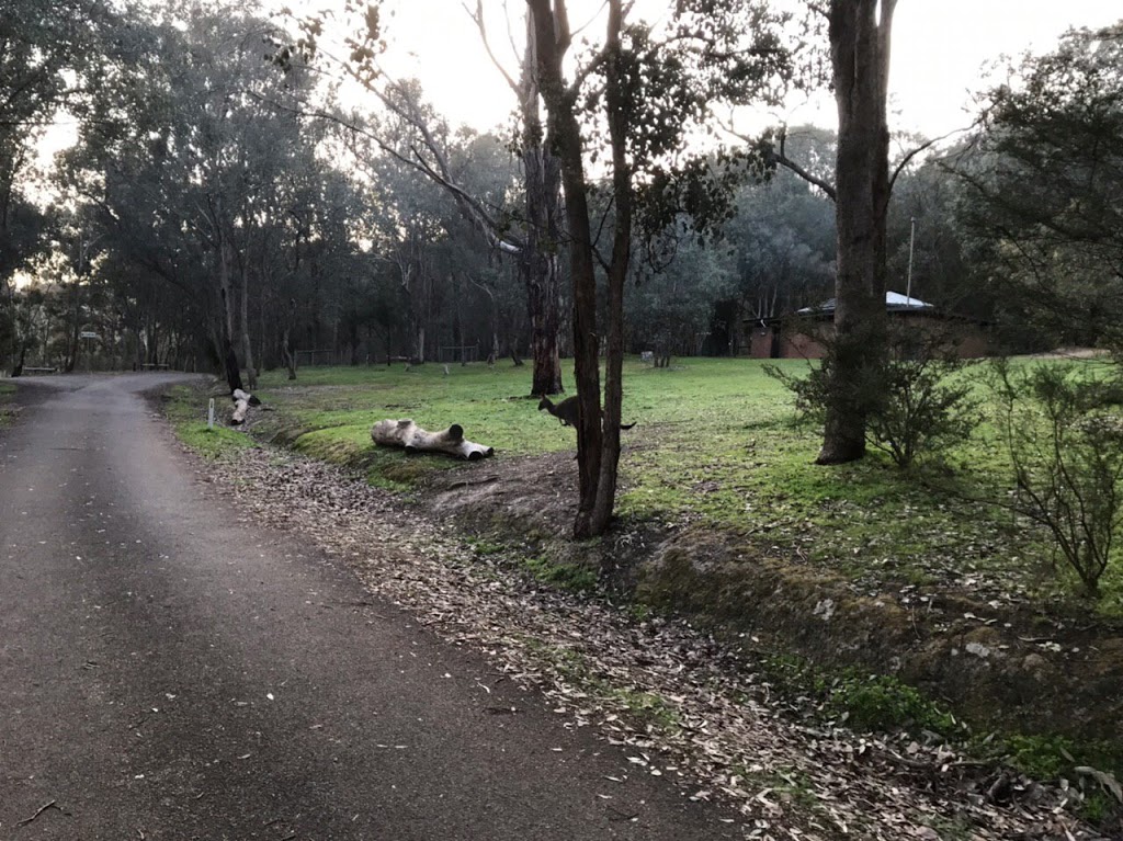 Lakeside Campground, Fraser Block | campground | Lakeside Camping Area, Lakeside Rd, Devils River VIC 3714, Australia