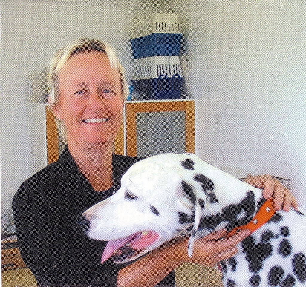 Veterinary Home Visits Dr Margareta Shiel | veterinary care | 54 Mount Pleasant Rd, Kingston TAS 7050, Australia | 0428123676 OR +61 428 123 676