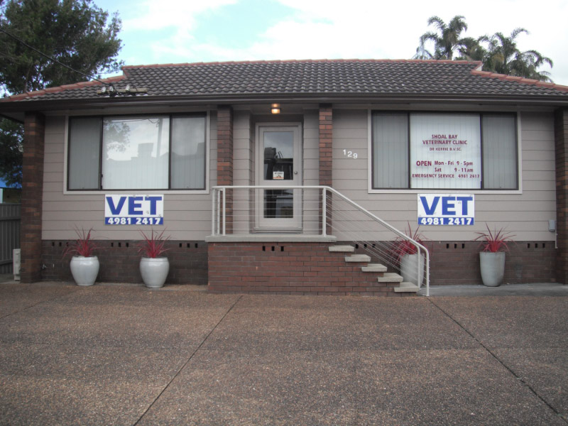 Shoal Bay Veterinary Clinic | 129 Shoal Bay Rd, Nelson Bay NSW 2315, Australia | Phone: (02) 4981 2417