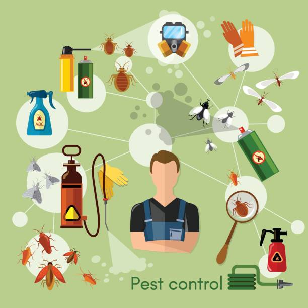 Wanneroo Pest Control | 478 Wanneroo Rd, Westminster WA 6061, Australia | Phone: (08) 6223 0562