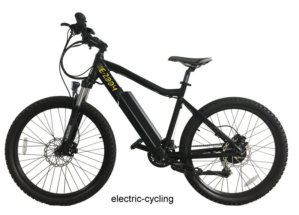 E-Zoom Electric Bikes | bicycle store | Plumer St, Sherwood QLD 4075, Australia | 0421407890 OR +61 421 407 890