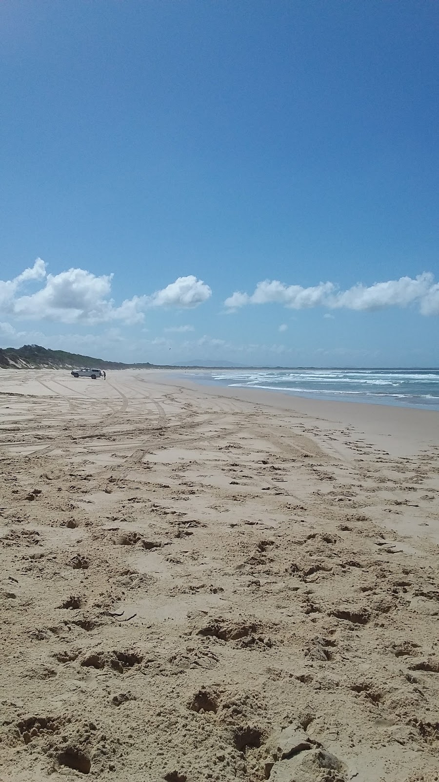 Off Leash Dog Beach | park | LOT 295 Hutcheson St, Hat Head NSW 2440, Australia