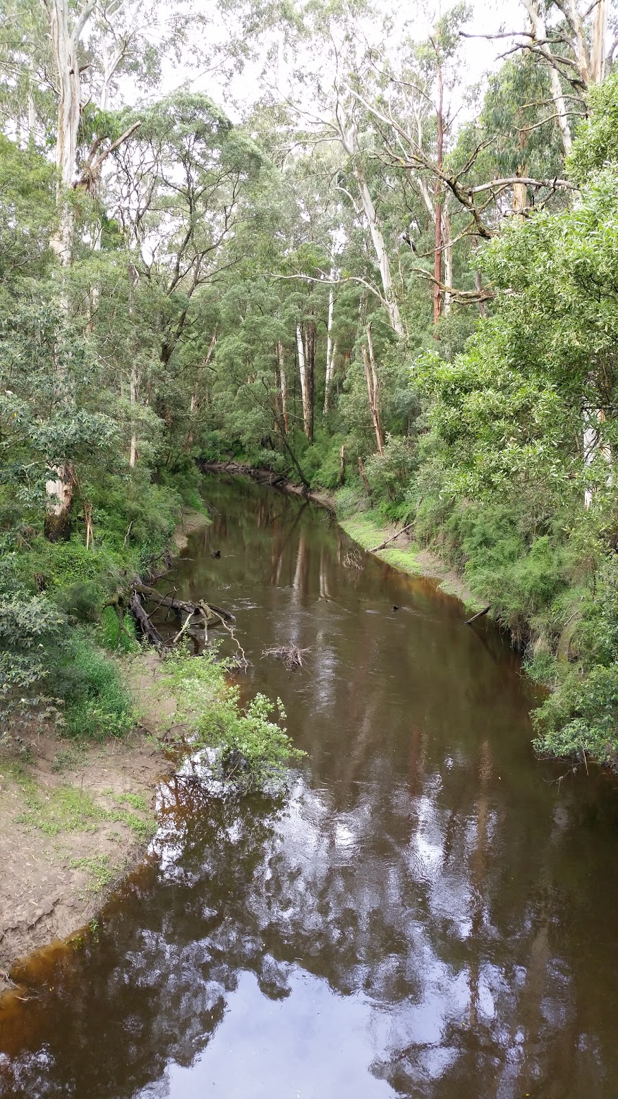 King Track Bridge | park | 35 King Track, Chapple Vale VIC 3239, Australia