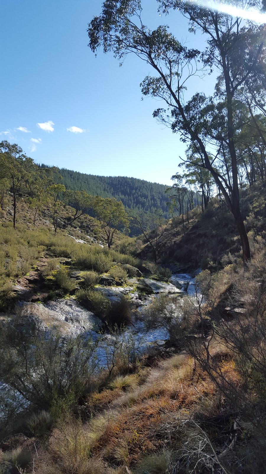 Mount Canobolas State Recreation Area | park | Canobolas NSW 2800, Australia