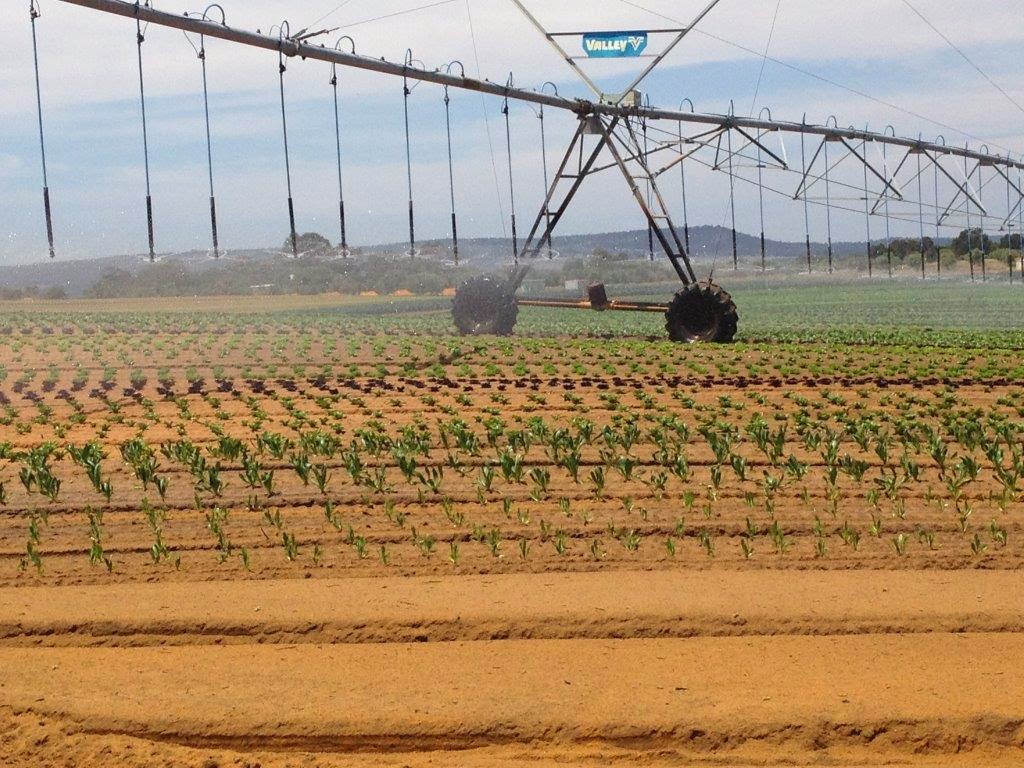 Valmont Irrigation Australia | 30 Acanthus St, Darra QLD 4076, Australia | Phone: (07) 3457 8830