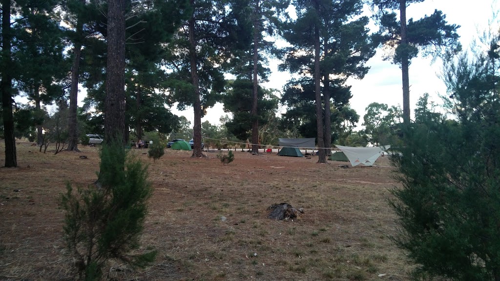 Centenary Park Camping & Picnic Area | LOT 80A Centenary Park Rd, Arapiles VIC 3409, Australia