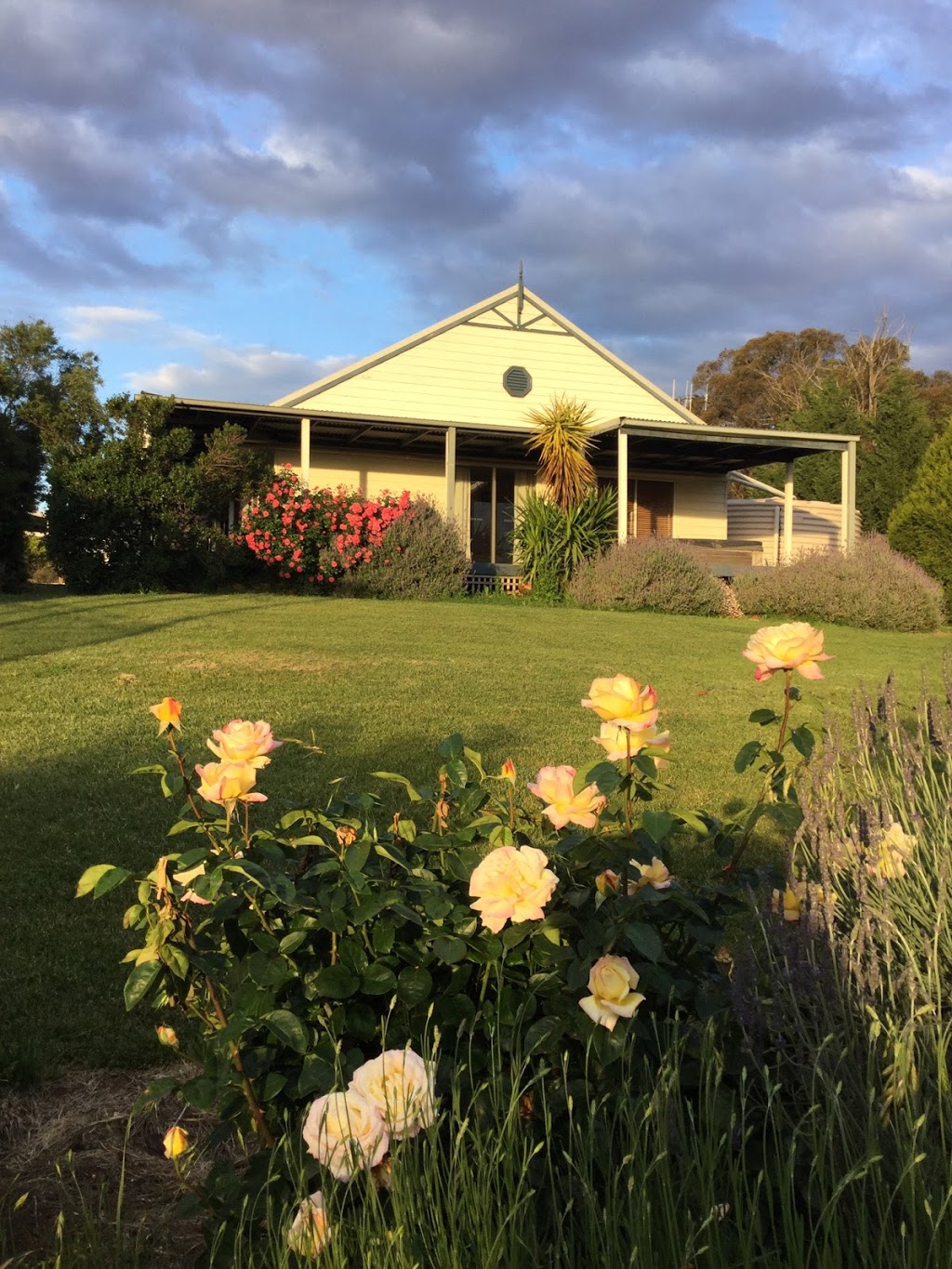 Eaglewood B&B and Alpaca Stud | 156 Isabel Dr, Murrumbateman NSW 2582, Australia | Phone: (02) 6227 0243