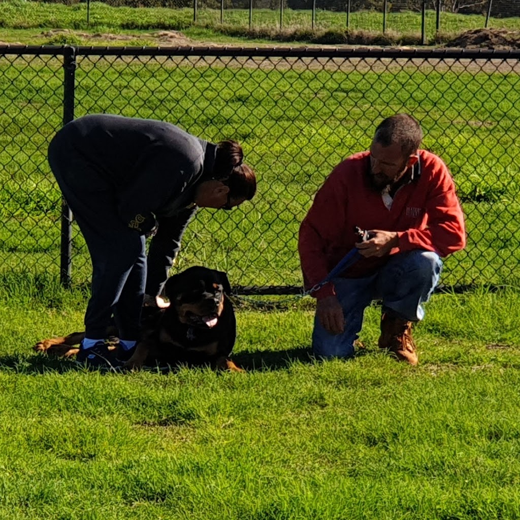 Complete Canine Training Solutions | Pioneer Park, Dawson Ave, Forrestfield WA 6058, Australia | Phone: 0400 818 711