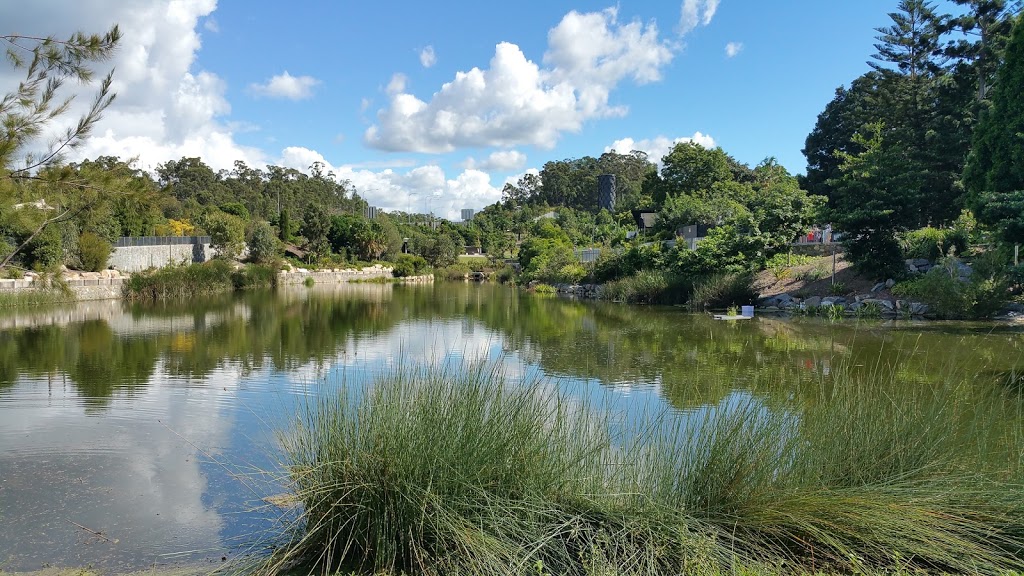 Mount Coot-tha Botanic Gardens | 152 Mount Coot Tha Rd, Mount Coot-Tha QLD 4066, Australia