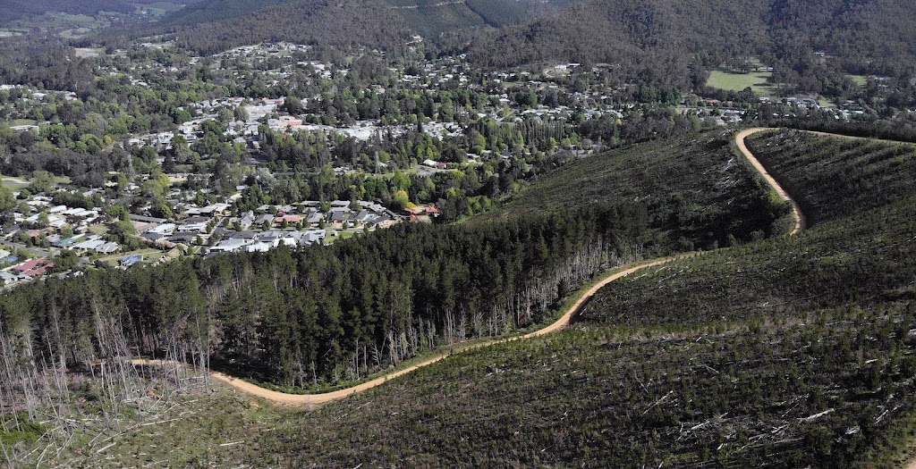 Xerri Athletics | 16 Mountain Mist Dr, Bright VIC 3741, Australia | Phone: 0415 732 776