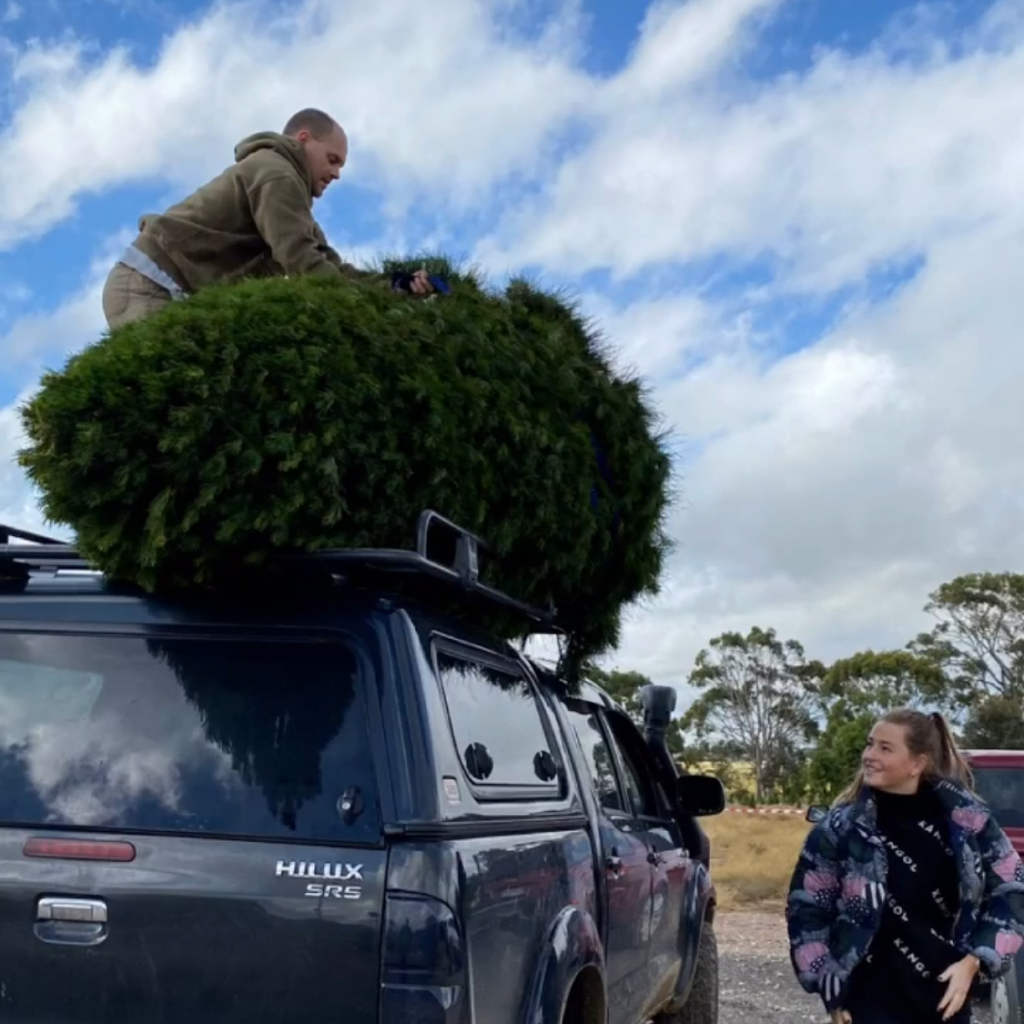 Victoria Christmas Tree Farm |  | Corner of Lightfoot Lane and, Sobeys Rd, Napoleons VIC 3352, Australia | 0401027030 OR +61 401 027 030