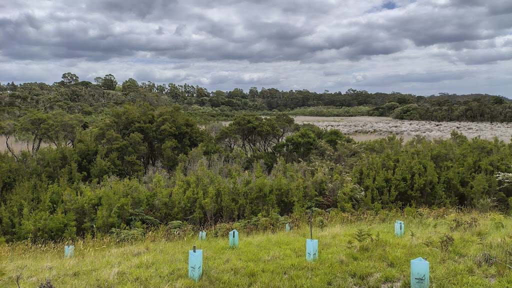 Dinni Birraark Walk | Lake Victoria Rd, Eagle Point VIC 3878, Australia | Phone: 0408 589 805