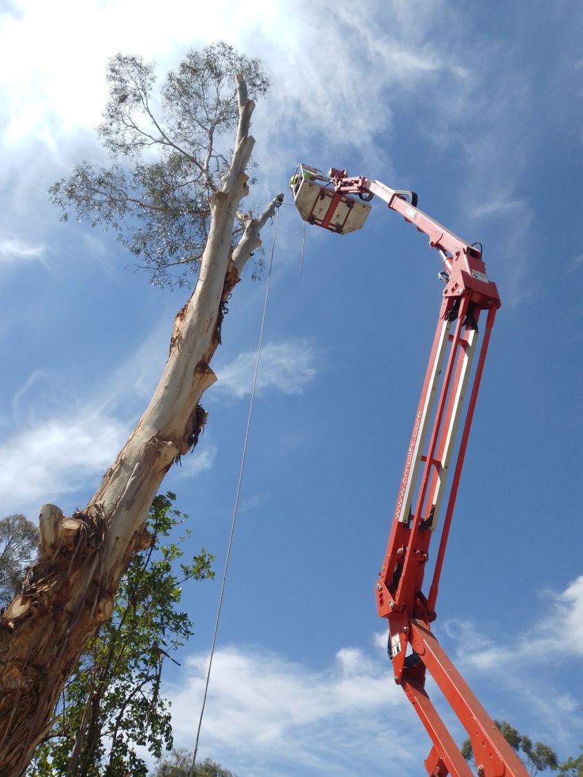 Tree Mason Gippsland |  | 74 Emberwood Rd, Warragul VIC 3820, Australia | 1300301678 OR +61 1300 301 678