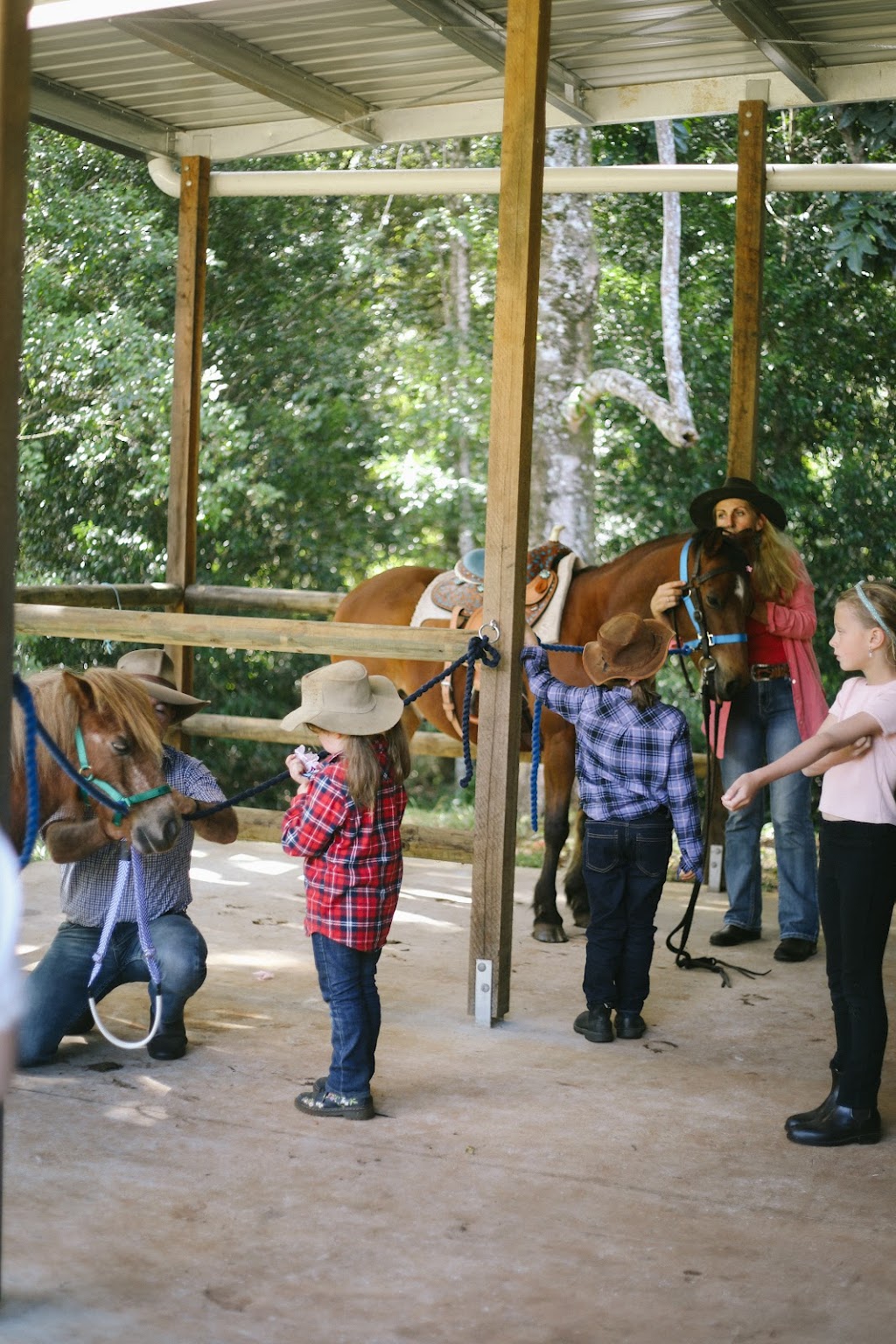 Hinterland Horses Byron Bay | 22 Blackbean Ln, Federal NSW 2481, Australia | Phone: 0407 813 321