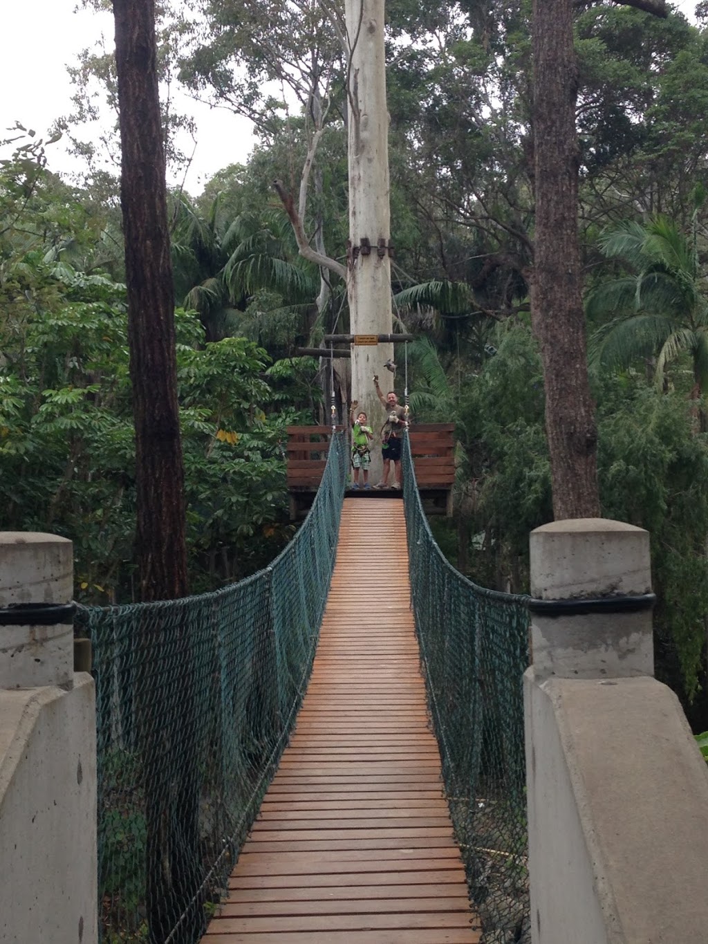 TreeTop Challenge | amusement park | Cedar Creek Falls Rd &, Tamborine Mountain Rd, Tamborine Mountain QLD 4272, Australia | 1300881446 OR +61 1300 881 446