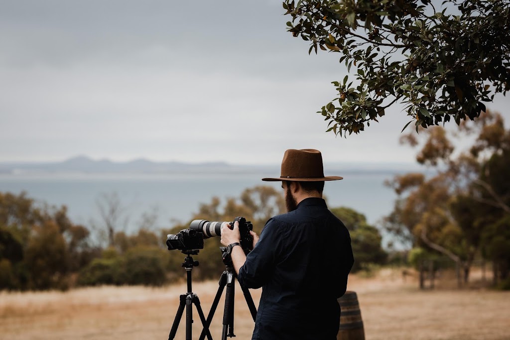 Paper Lion Collective | 21 Rutland St, Newtown VIC 3220, Australia | Phone: 0431 793 779