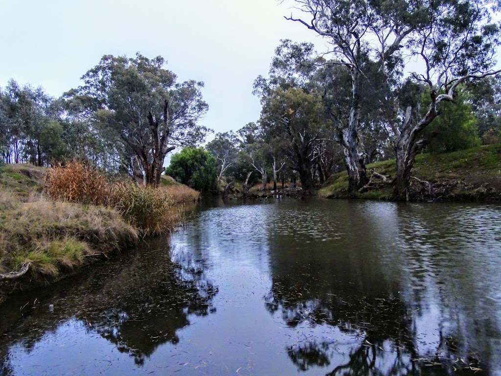 Campaspe River Reserve | park | Rochester VIC 3561, Australia