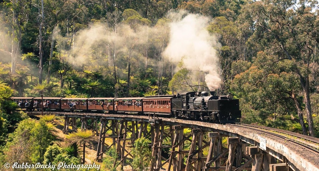 Nara Day Tour and Charter | 61 Grandvue Blvd, Officer VIC 3809, Australia | Phone: 0407 634 075