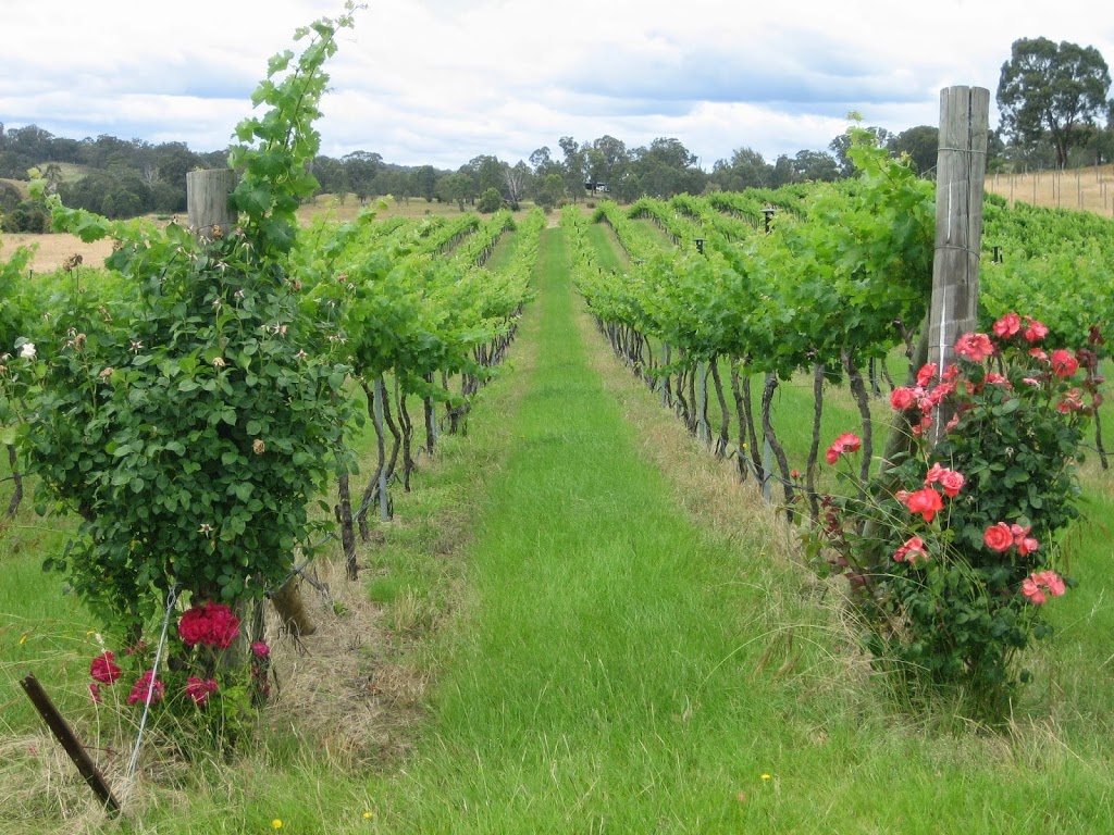Bungonia Creek wines plants and produce | store | 1367 Jerrara Rd, Bungonia NSW 2580, Australia | 0248444247 OR +61 2 4844 4247