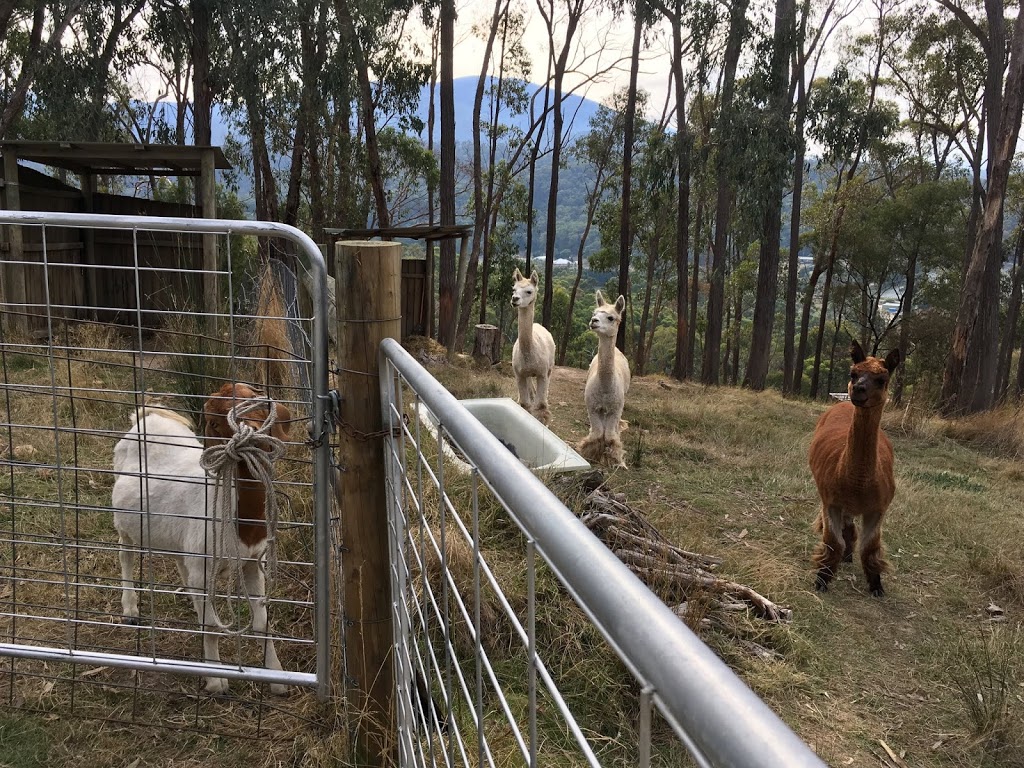 Alpaca Ridge Farmstay B&B | lodging | 16 Cornelius Cres, Healesville VIC 3777, Australia | 0359623935 OR +61 3 5962 3935