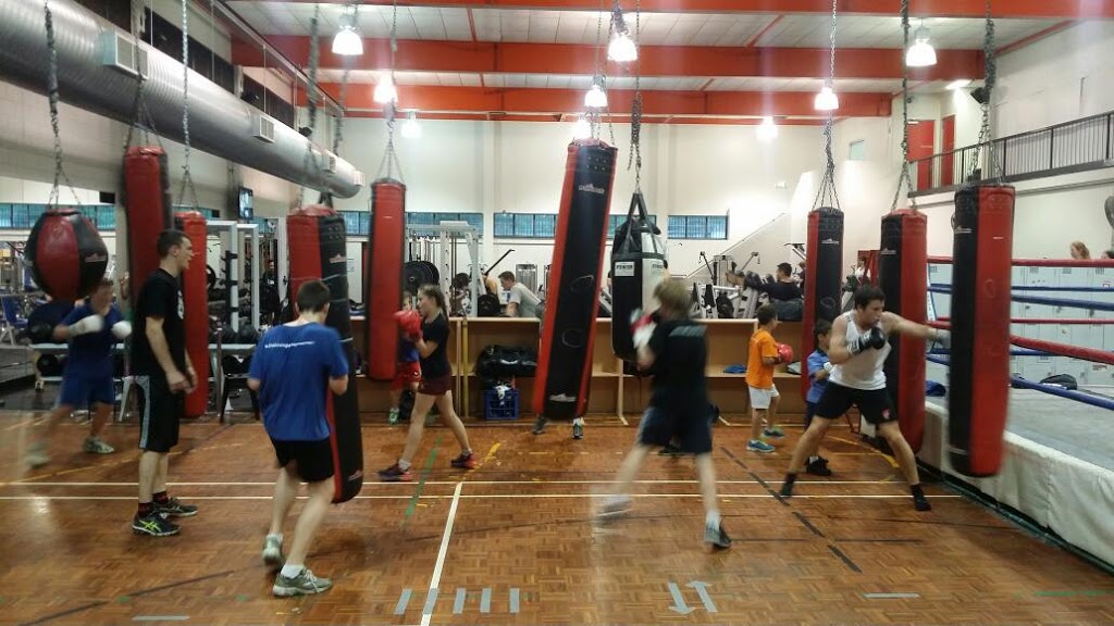 The Boxing Shop | gym | 43 McCarthy Rd, Salisbury QLD 4107, Australia | 1300660017 OR +61 1300 660 017