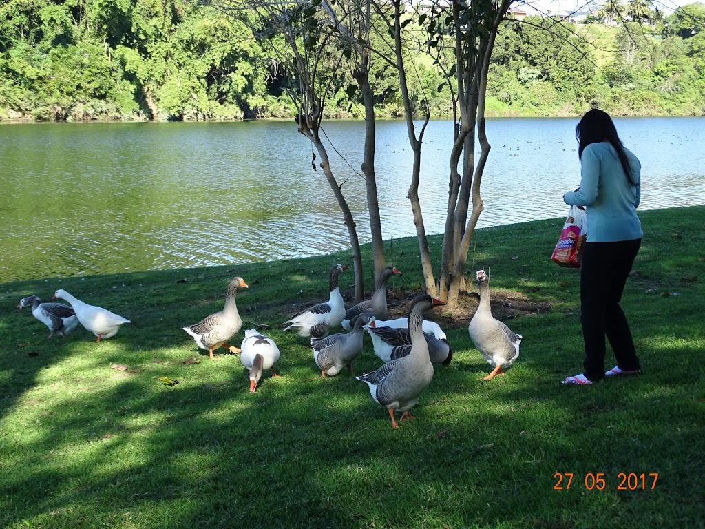 Kempsey Riverside Park | park | 1 Verge St, Kempsey NSW 2440, Australia