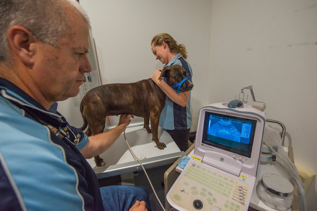 Blue and White Veterinary Surgery Woolgoolga | veterinary care | 1863 Solitary Islands Way, Woolgoolga NSW 2456, Australia | 0266542771 OR +61 2 6654 2771