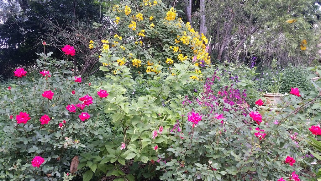 Open Gardens SEQ | 280 Beaudesert Beenleigh Rd, Bahrs Scrub QLD 4207, Australia | Phone: 0413 677 765