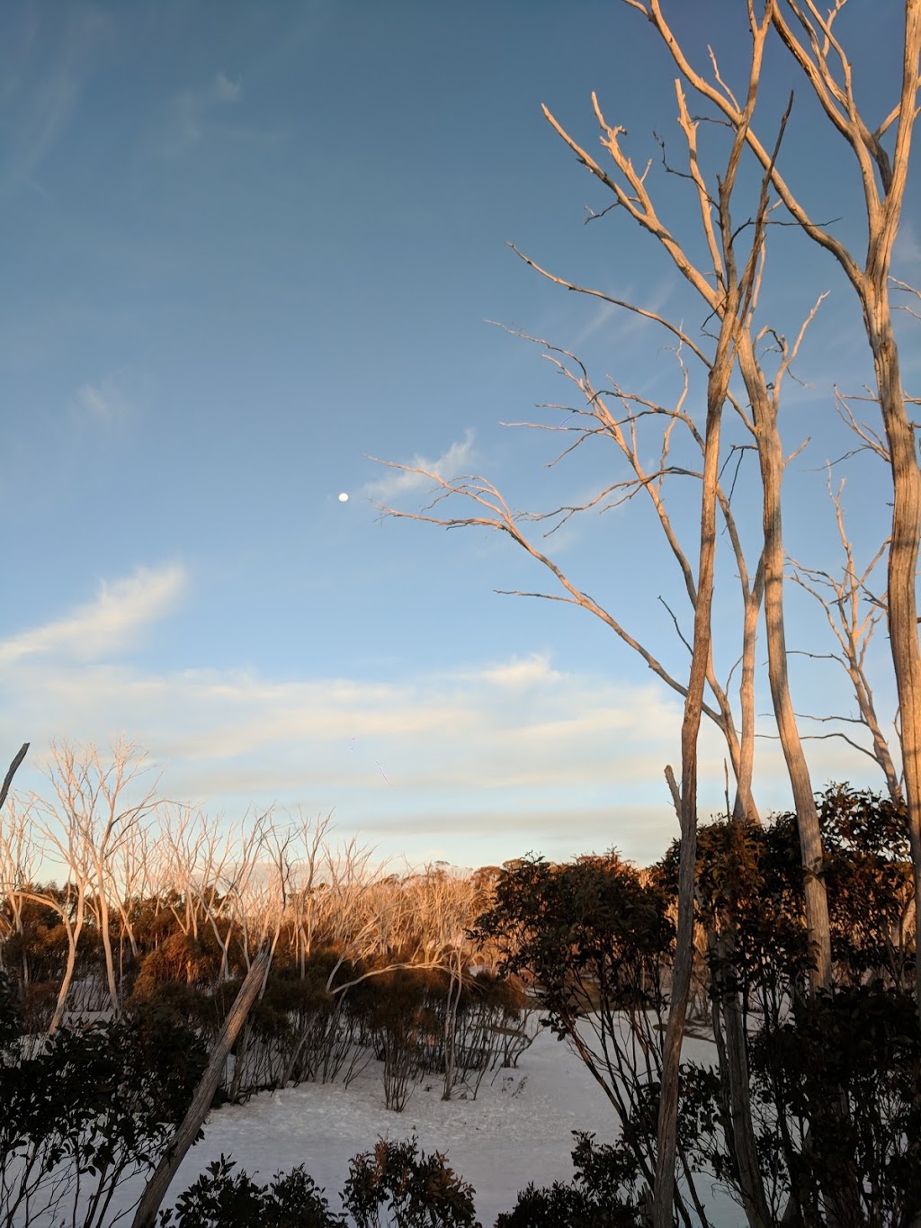 Wire Plain Car Park | parking | Great Alpine Rd, Hotham Heights VIC 3741, Australia