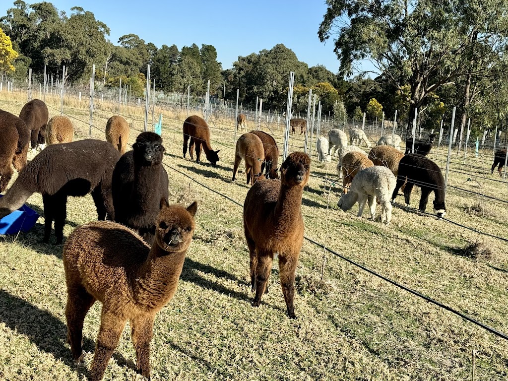 The Ginyard | 1747 Eukey Rd, Eukey QLD 4380, Australia | Phone: 0403 538 271 The Ginyard | 1747 Eukey Rd, Eukey QLD 4380, Australia | Phone: 0403 538 271