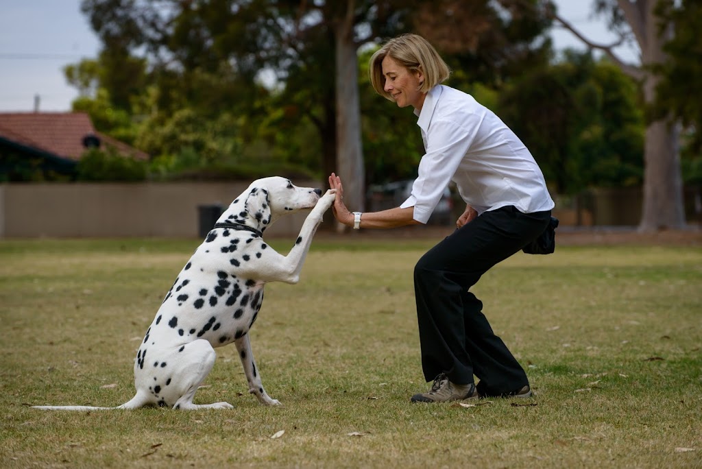 Positive Dog Training | Village Green, Unley SA 5061, Australia | Phone: 0418 886 698