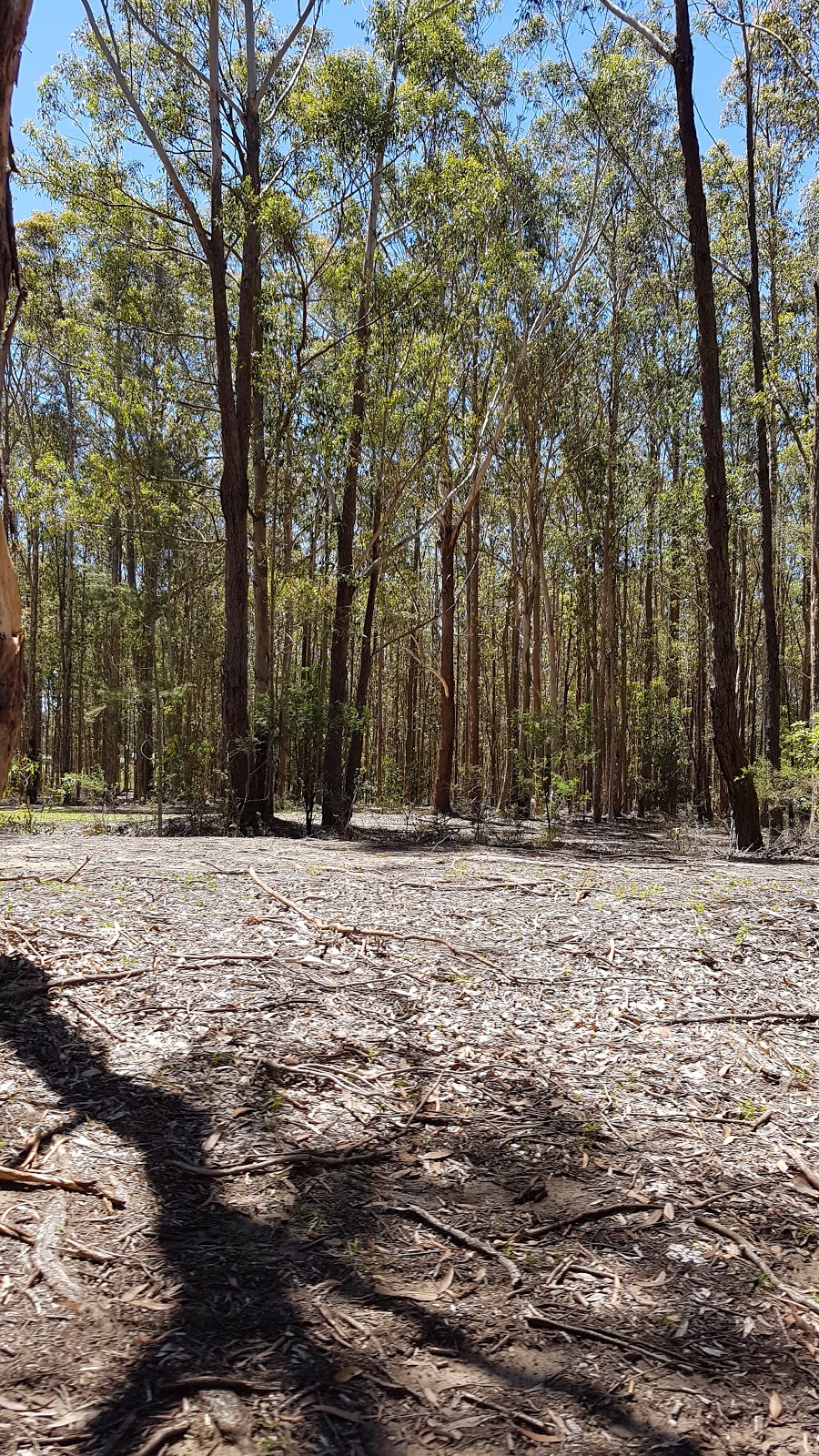 Worrigee Nature Reserve | park | Worrigee NSW 2540, Australia