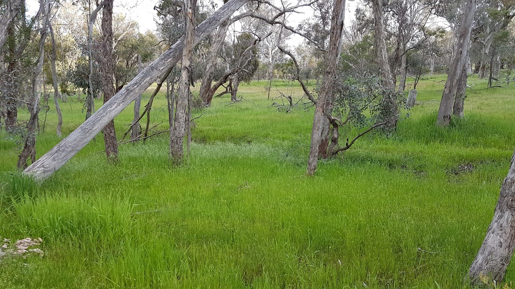 Mount Majura Special Purpose Reserve | Australian Capital Territory, Australia